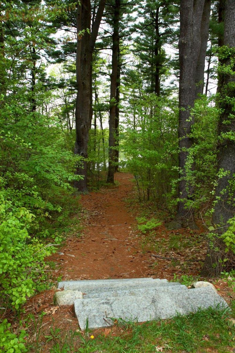 Warren Conference Center And Inn image