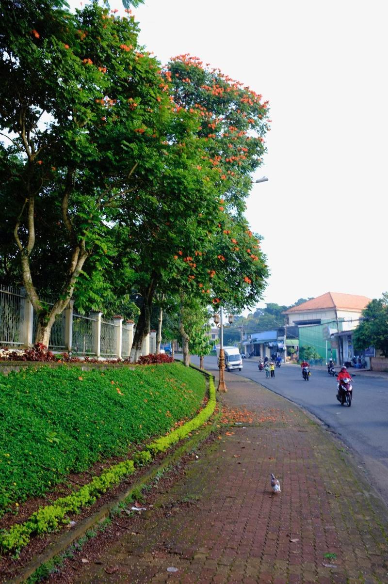 Minh Nhung Hotel image