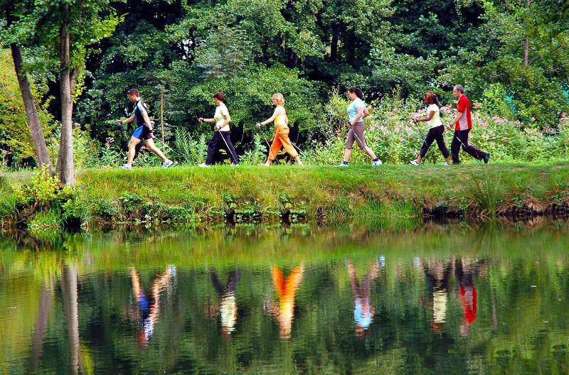 Wellness Pension Am Rain image