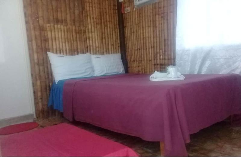 Moonlight Homestay image