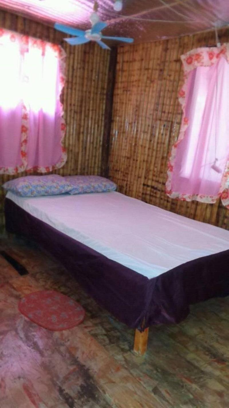 Moonlight Homestay image