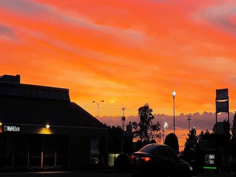 Morgan Inn And Suites image