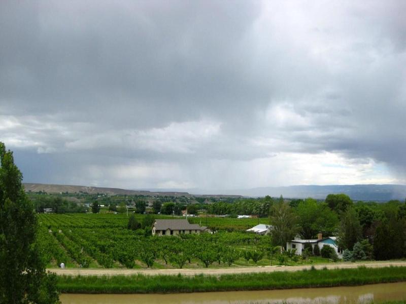 Wine Country Inn Palisade image