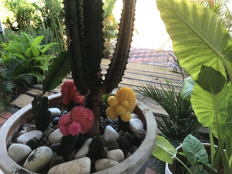 Mt Pleasant Bnb image
