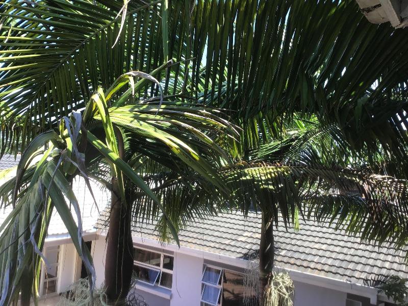 Mt Pleasant Bnb image