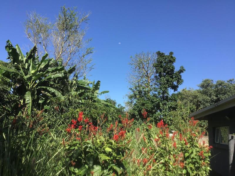 Mt Pleasant Bnb image