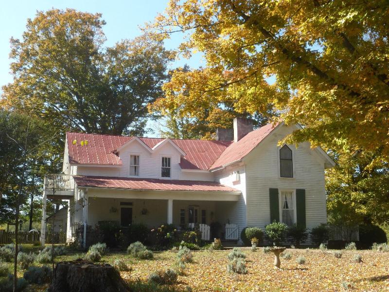 Mulberry Lavender Farm and B&B image