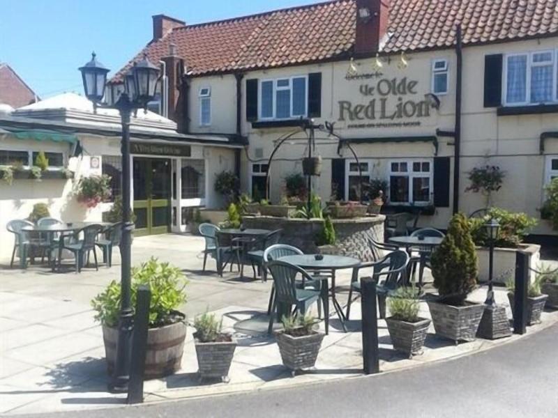 Ye Olde Red Lion image