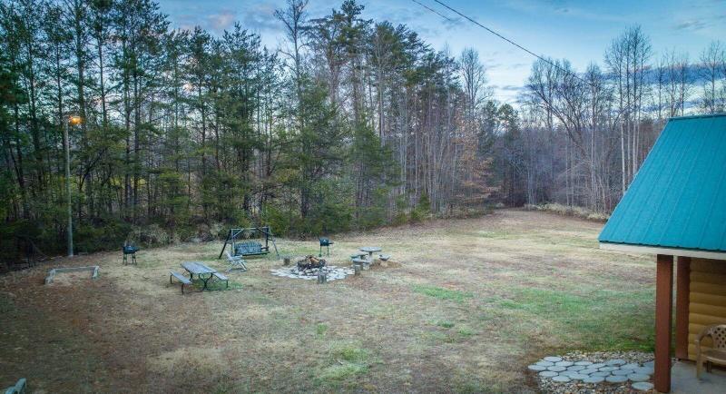 Nacoochee Valley Rentals image