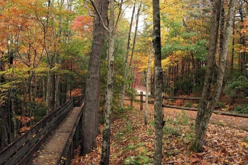 Nacoochee Valley Rentals image