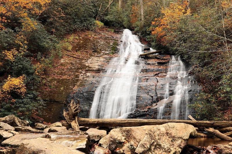 Nacoochee Valley Rentals image
