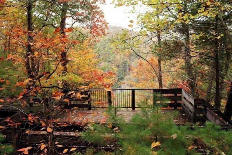 Nacoochee Valley Rentals image