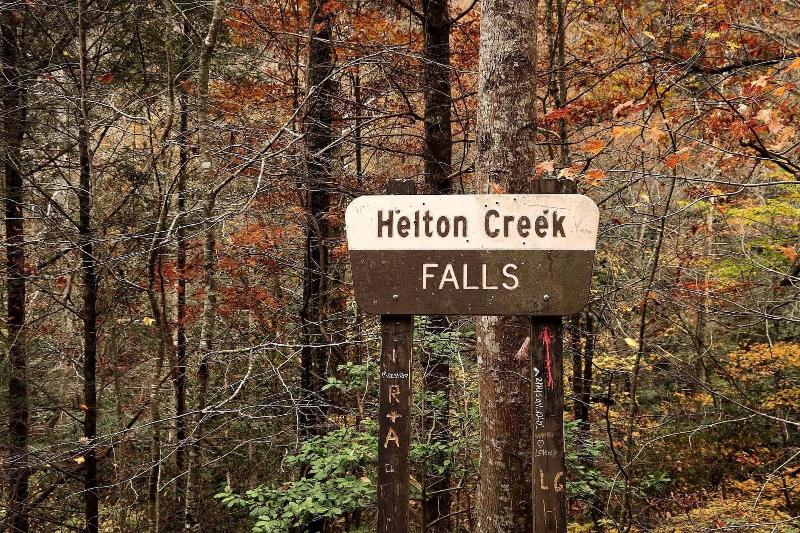 Nacoochee Valley Rentals image