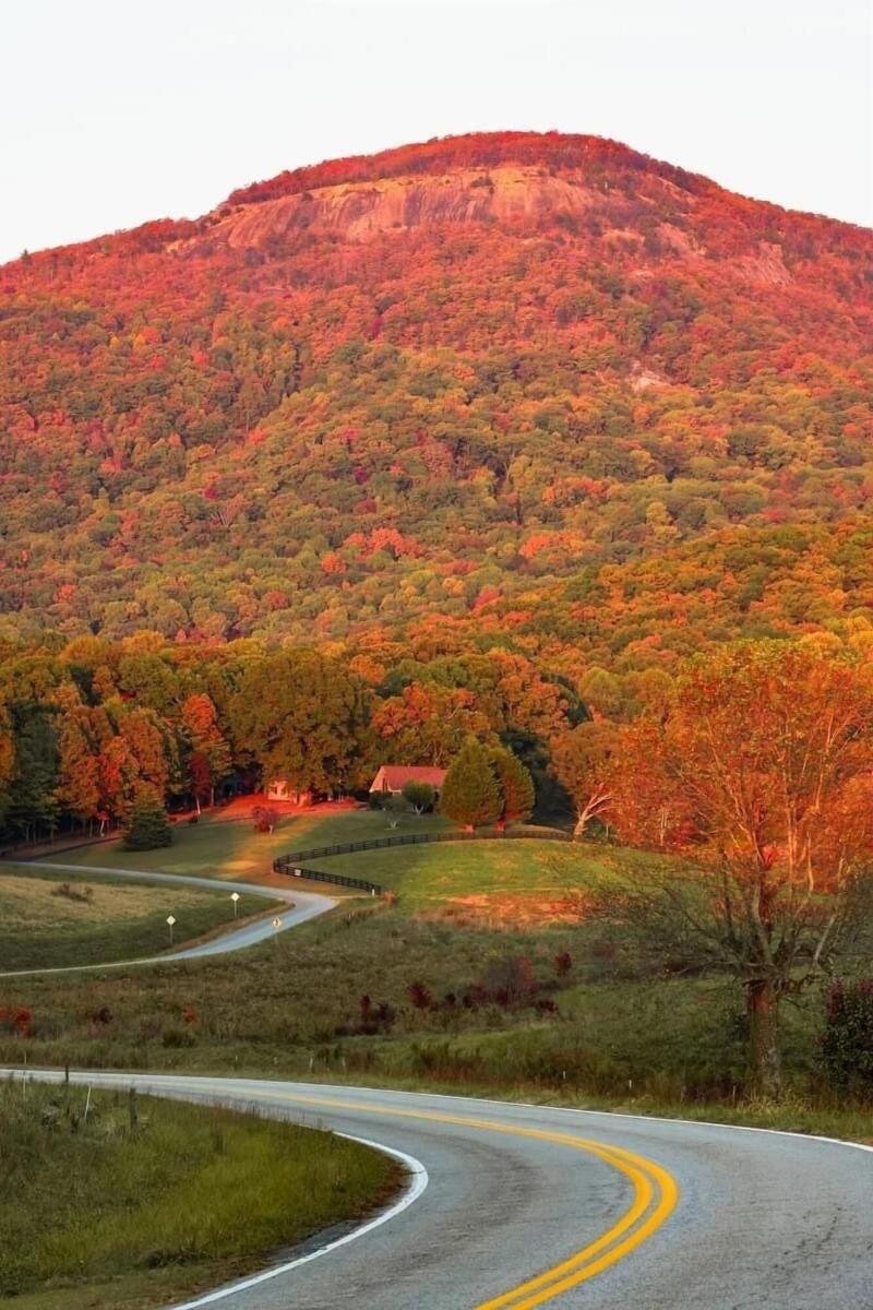 Nacoochee Valley Rentals image