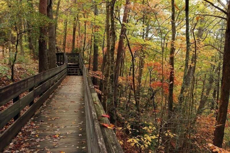 Nacoochee Valley Rentals image