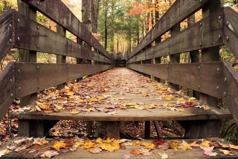 Nacoochee Valley Rentals image