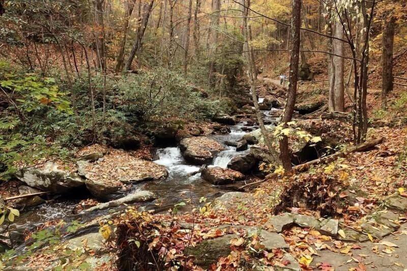 Nacoochee Valley Rentals image