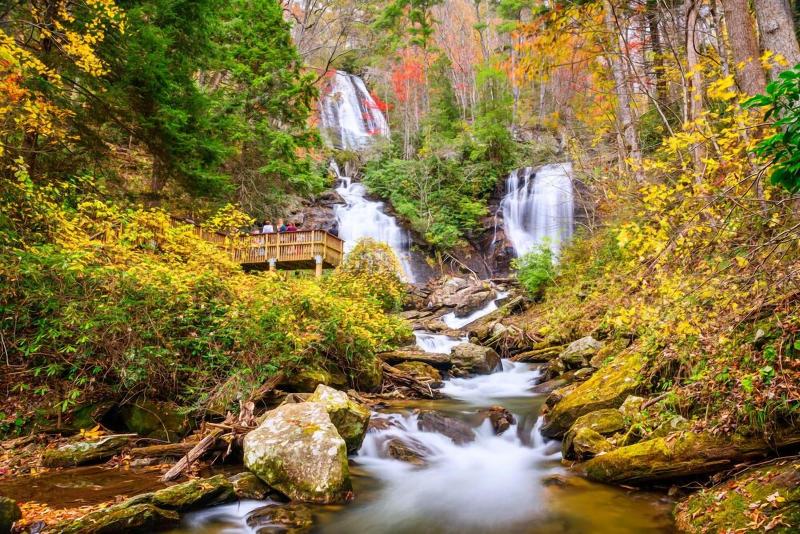 Nacoochee Valley Rentals image