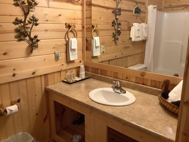 Nacoochee Valley Rentals image
