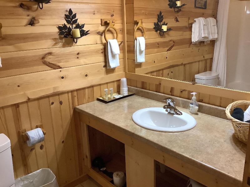 Nacoochee Valley Rentals image