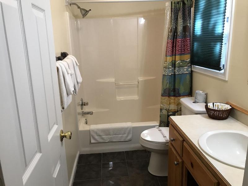 Nacoochee Valley Rentals image