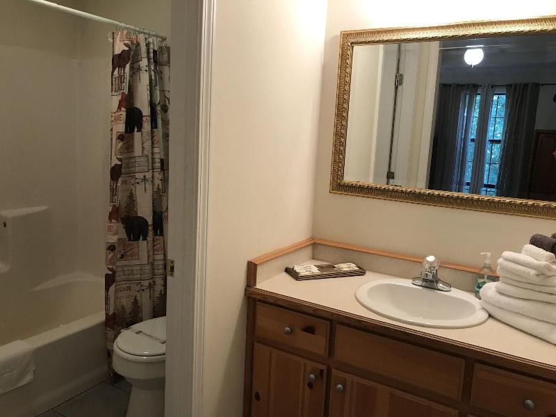 Nacoochee Valley Rentals image