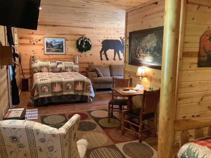 Nacoochee Valley Rentals image