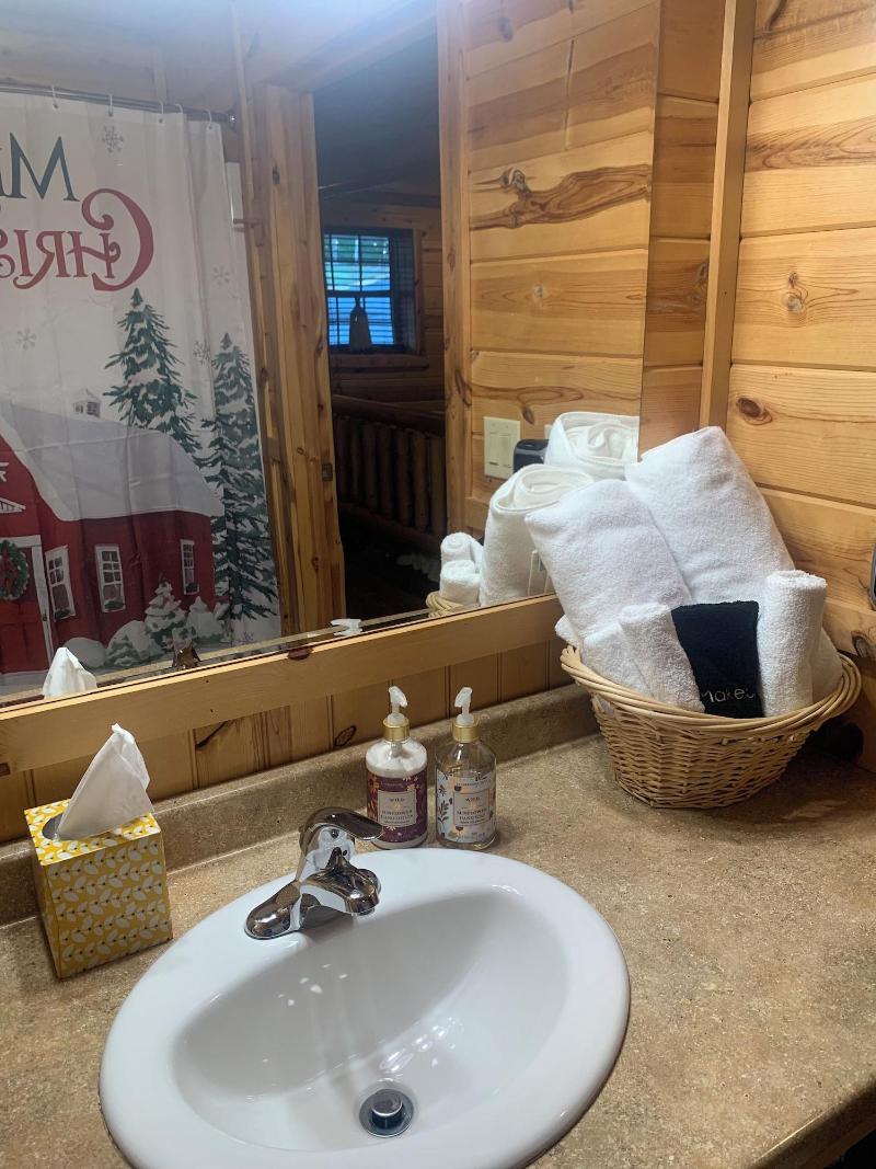 Nacoochee Valley Rentals image