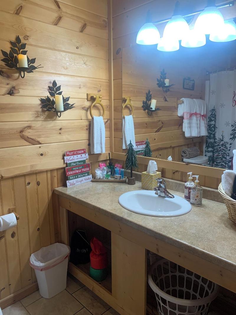Nacoochee Valley Rentals image