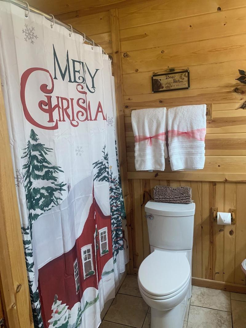 Nacoochee Valley Rentals image
