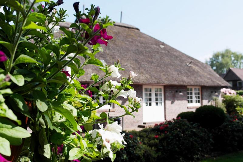 Hotel Blauer Fasan image