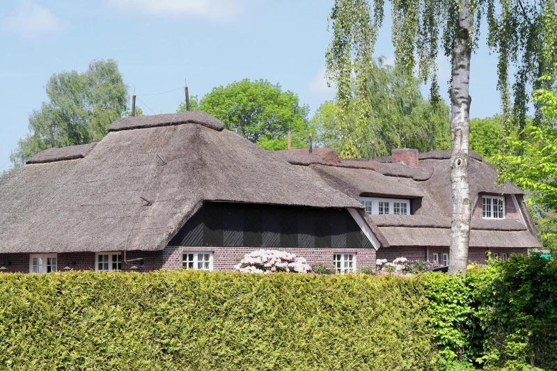 Hotel Blauer Fasan image