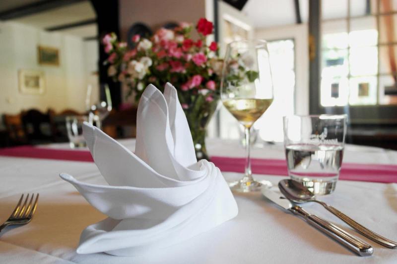 Hotel Blauer Fasan image