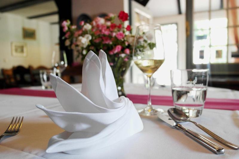 Hotel Blauer Fasan image