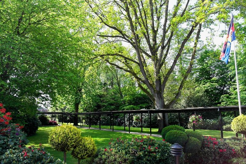Hotel Blauer Fasan image