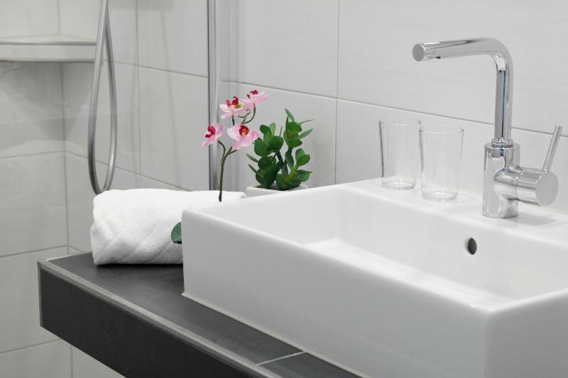 Hotel Blauer Fasan image