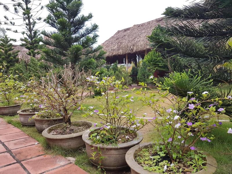 Ngoc Linh Villas