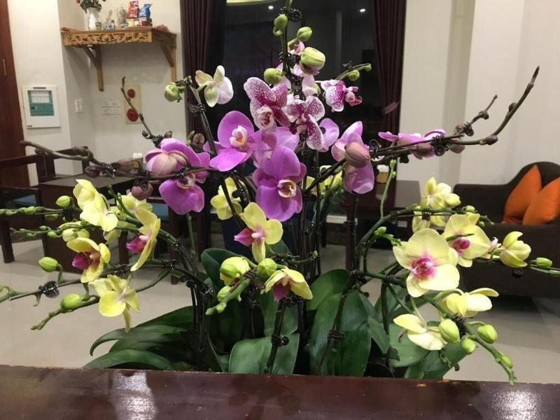 Ninh Phong Hotel image