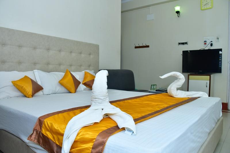 Hotel Dolphin image