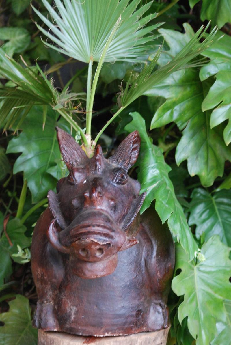 Osoita Lodge image
