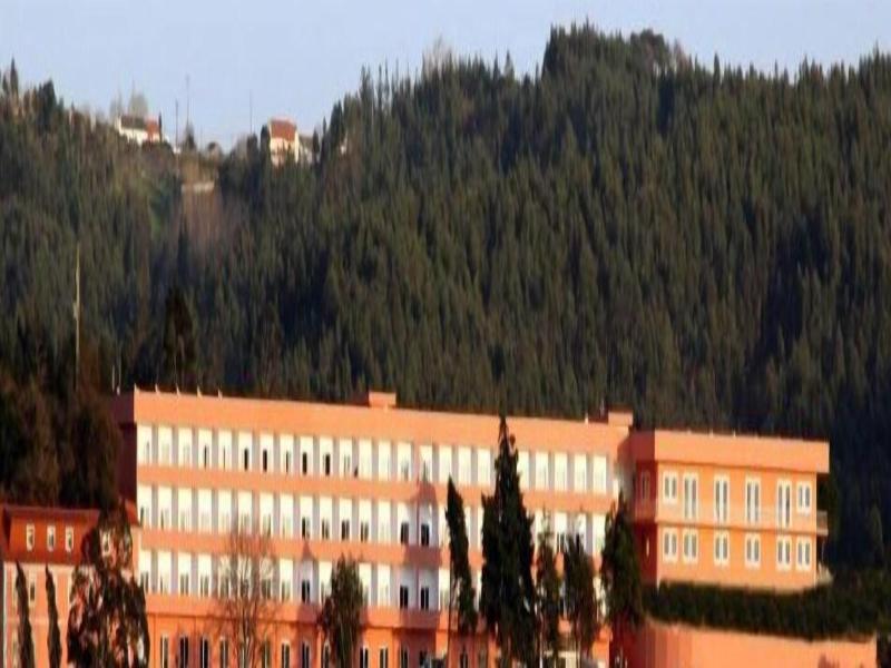 Palace Hotel & SPA Termas do Bicanho image