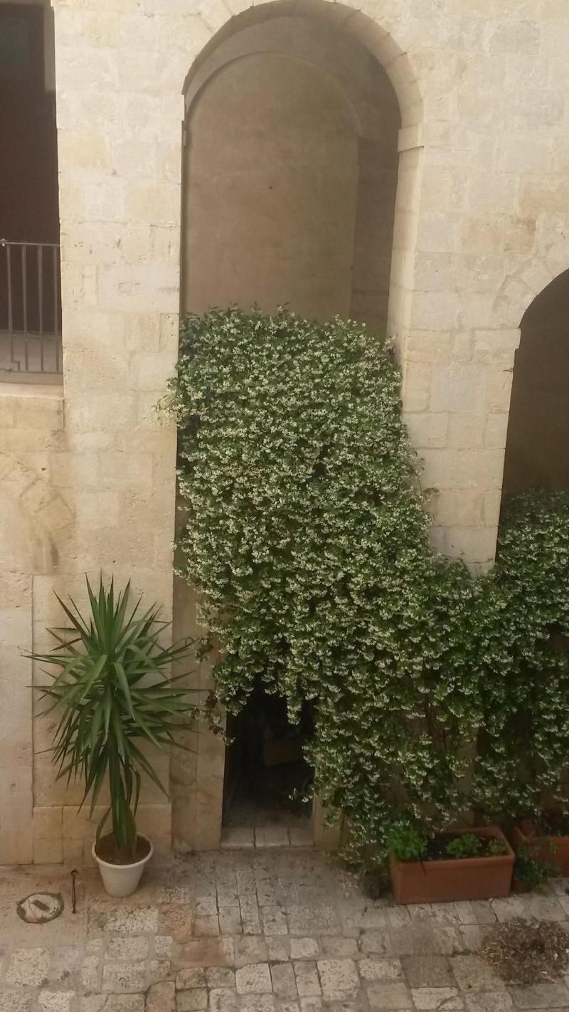 Palazzo Moccia image