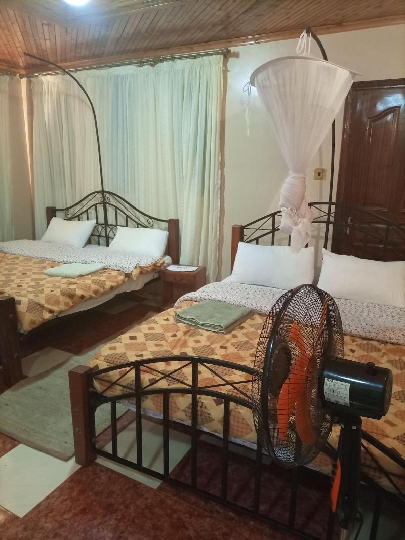 Palm Airport Suites image