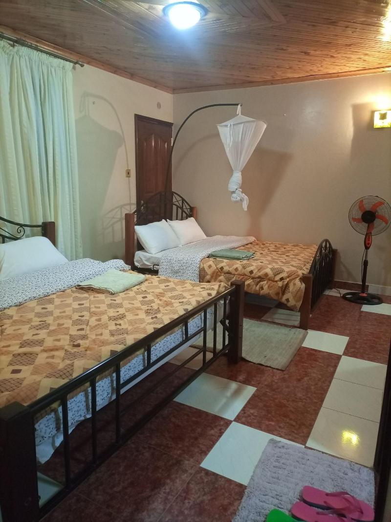 Palm Airport Suites image