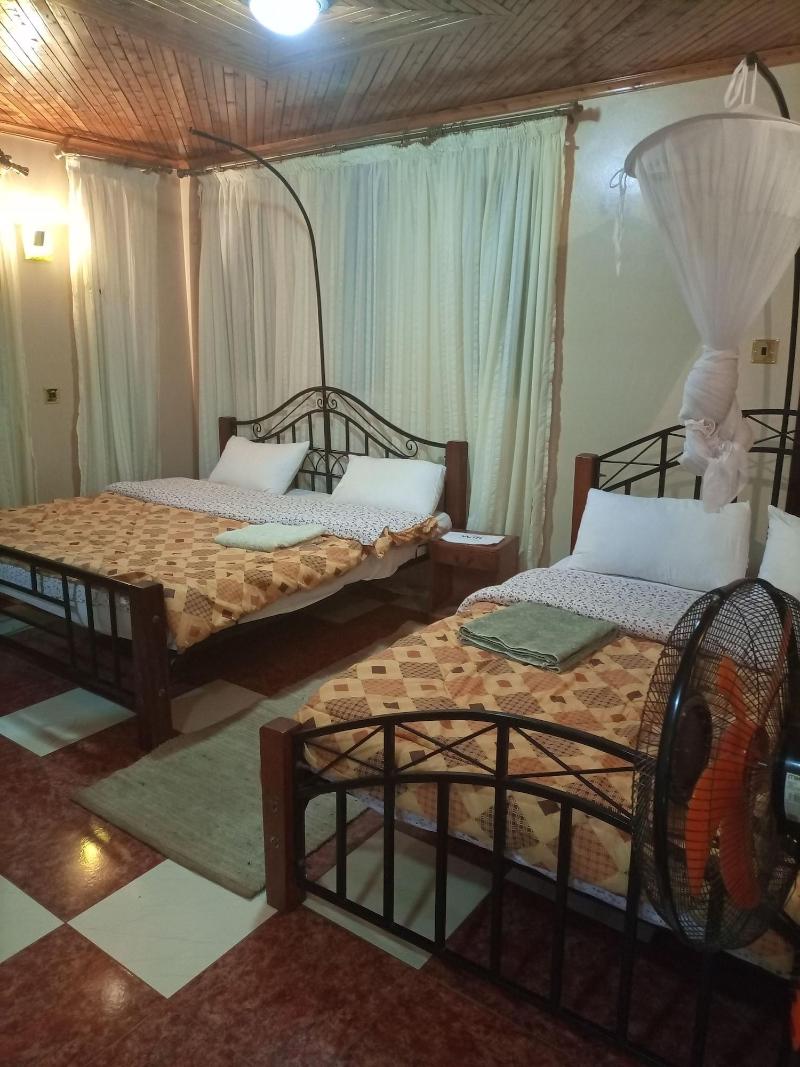 Palm Airport Suites image