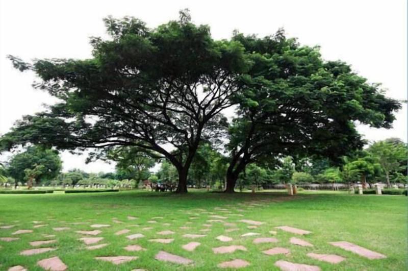 Pang Rujee Resort image