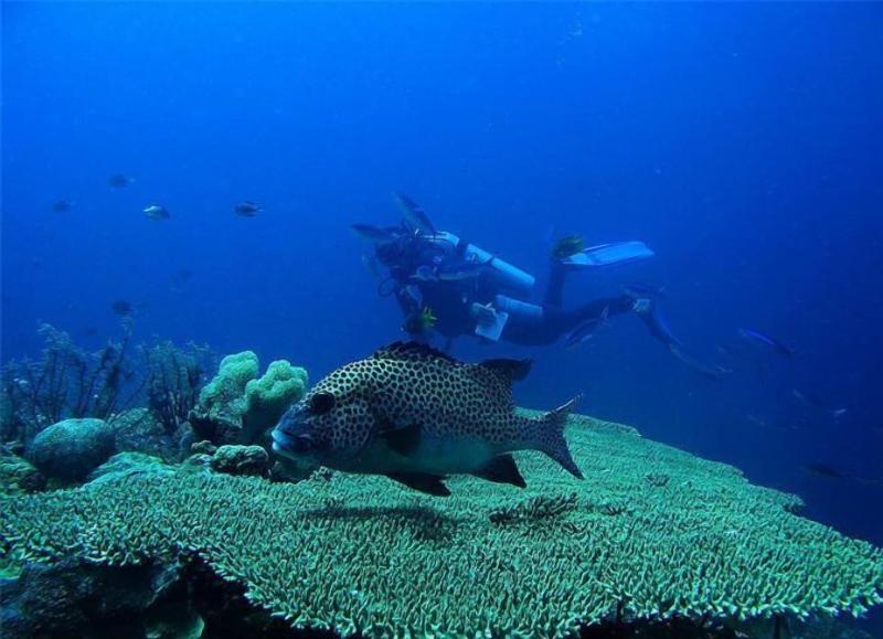 Patuno Hotel & Resort Wakatobi