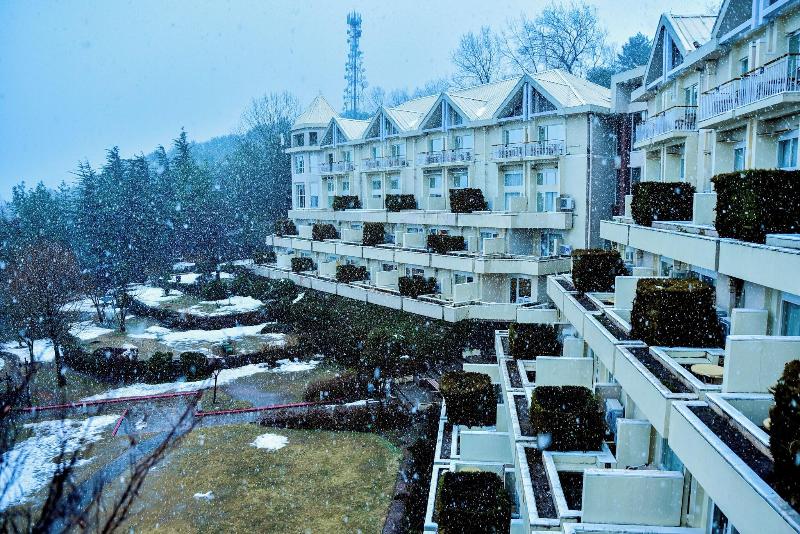 Pearl Continental Bhurban image