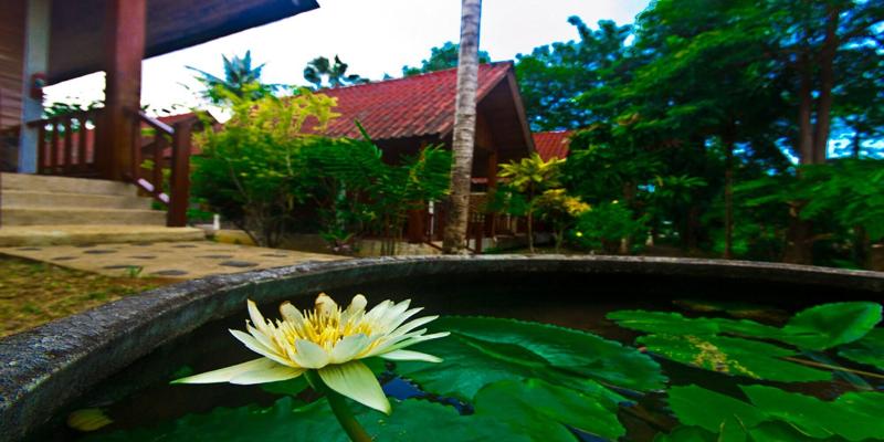 Krathom Khaolak Resort image