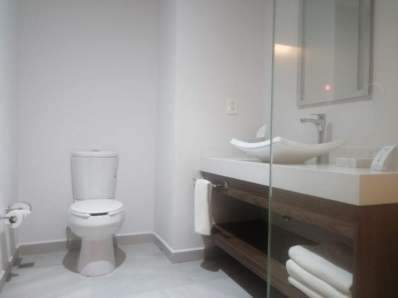 Wyndham Puebla Angelopolis image